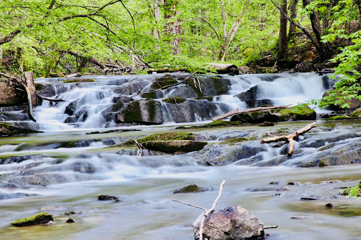 J.S. Easterly Park - Visual