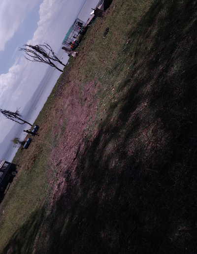 Photos of Lake Naivasha