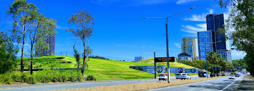 Tom Wills Oval - Thumbnail
