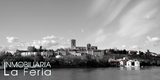 Inmobiliaria La Feria