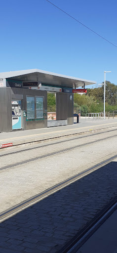 Estación de Clínico