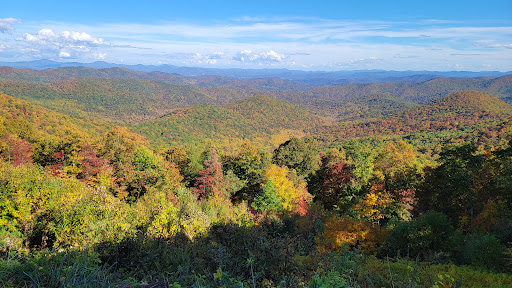 Little Pisgah Ridge Tunnel Gallery - United States