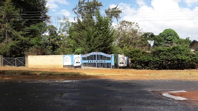 church