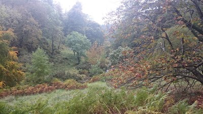 Photos of Corrody Cottages