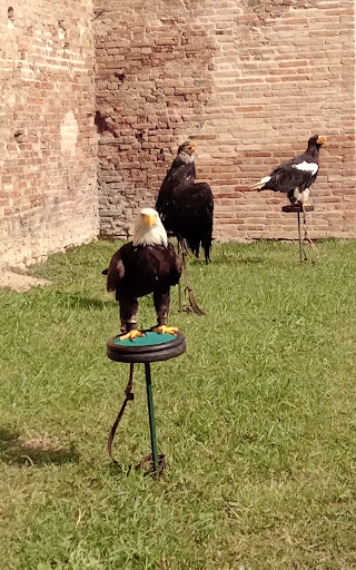 Reggiolo Gallery - Italy