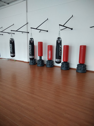Palestra Dynamic Center - Thumbnail