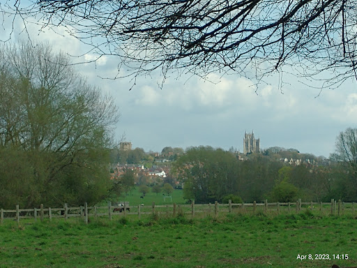 West Common - Visual