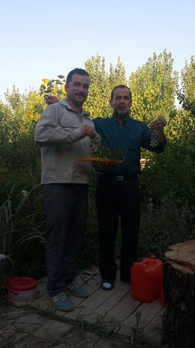 Photos of باغ امیرقربانی