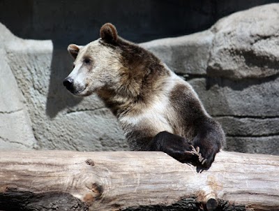 Cleveland Metroparks Zoo