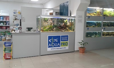 Photos of Aquapro.kz Зоомагазин, аквариумный салона