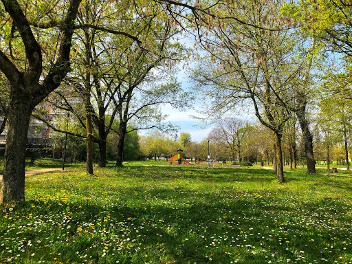 Parco Morello - Visual