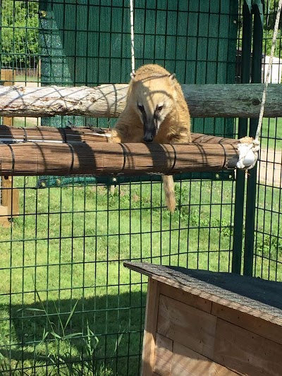 Timber Creek Petting Farm