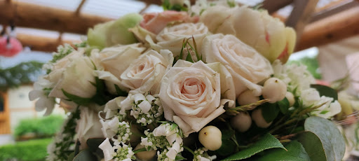 FLOWER EFFECTS - Visual
