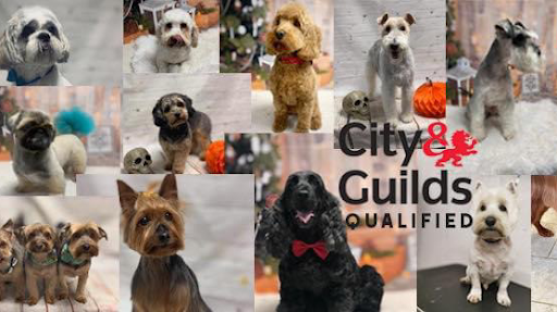 Dirty Dogs Grooming Uttoxeter