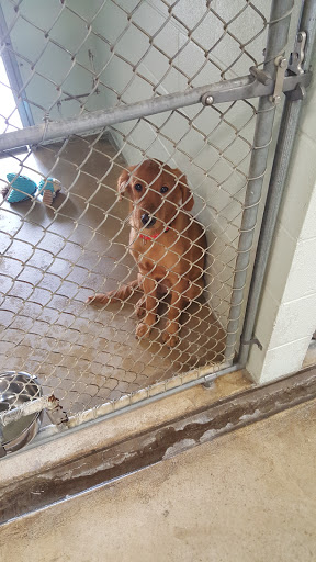 Huron County Humane Society - Thumbnail