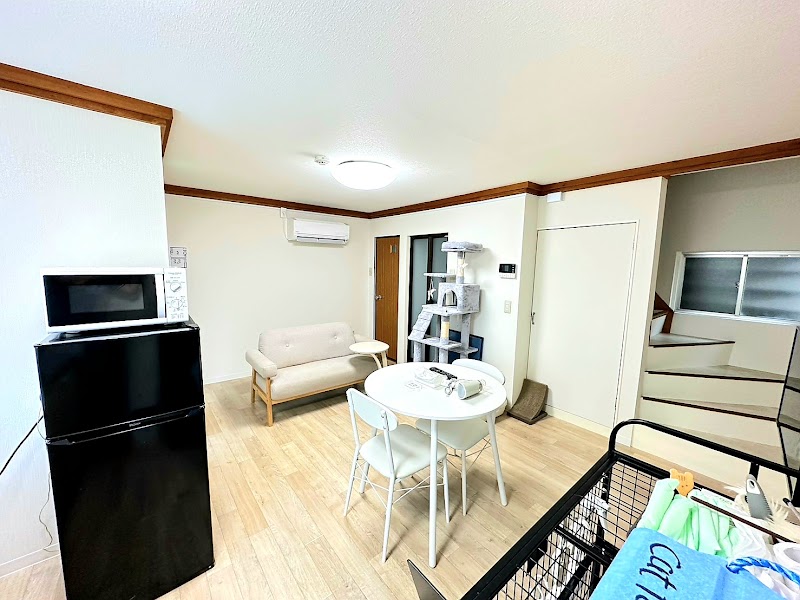 GuestHouse with Cat 2