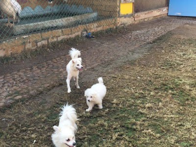 Photos of Dondon Park