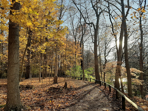 Jeffrey Park - Visual