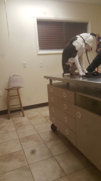 veterinary-care