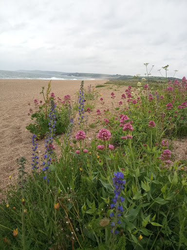Strete Gate Beach - Thumbnail