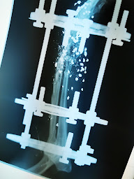 Photo n°9 de Scheffen Bernard à La Haye (Vétérinaire)