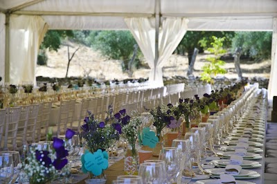 Photos of Finca Valbono