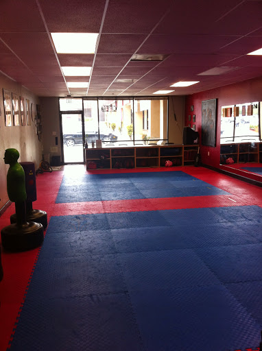 Chinese Boxing Institute - Thumbnail
