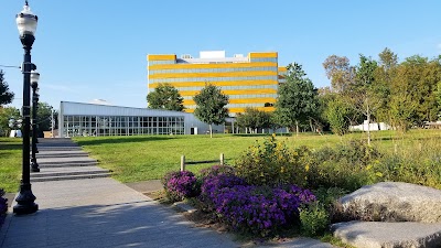 Mill River Park Collaborative