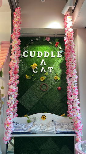 Comentarii opinii despre Little Pets Kingdom