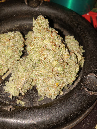 AAA Pharms - Visual