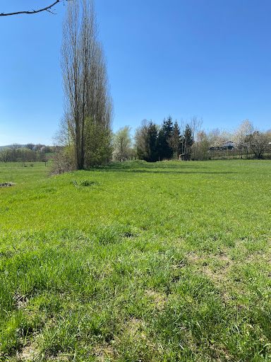 Naturcampingplatz - Thumbnail