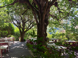 Photo n°37 de Auberge de poleymieux à Poleymieux aux mont d'or (Bar)