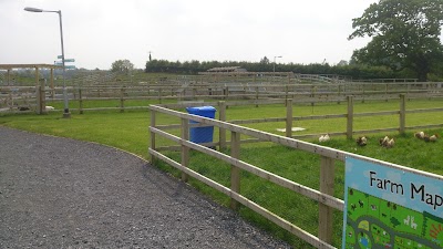 Photos of Mollie Moo's Fun & Adventure, Pet Farm & Playground