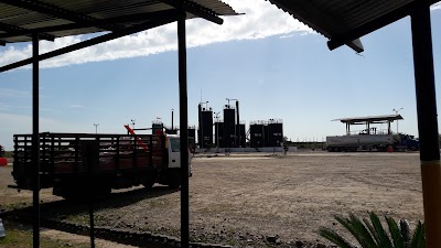 Photos of CAMPO MAURITIA