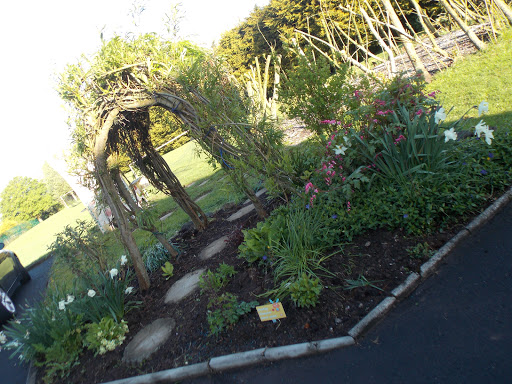 Killylea Primary School - Thumbnail