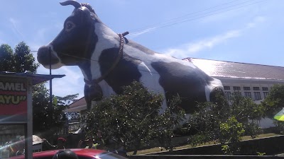 Photos of Galeri Kucingku