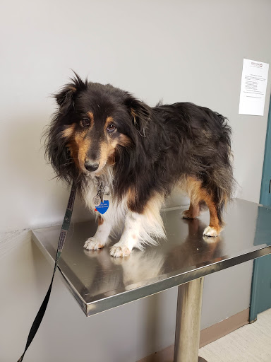 Animal Clinic Of Regina - Thumbnail