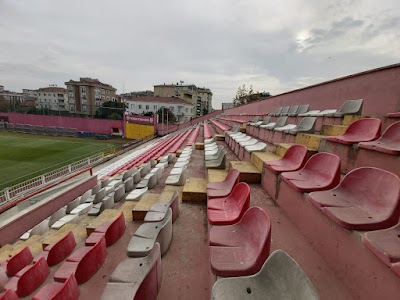 Pendik Stadium