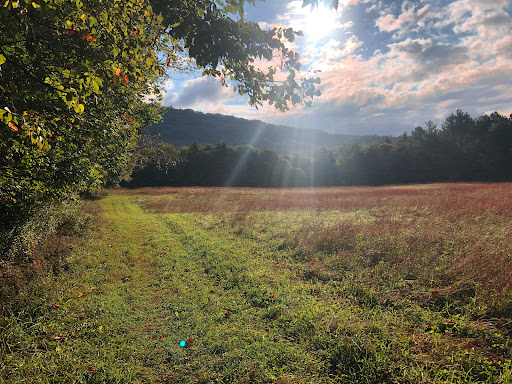 Pittsford Trail Network