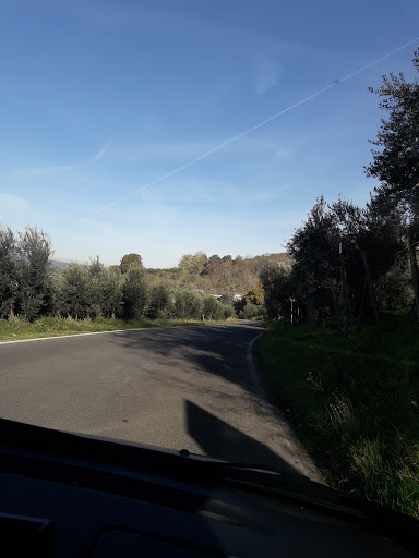 Diana Catering Di Diana Sandro E C. S.N.C. - Thumbnail