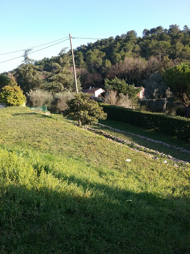 School Des Cabrières - Thumbnail