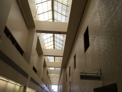 Packer Hall Gallery - United States