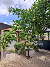 Photo n°39 de Le P'tit Bouchon à Rambervillers (Restaurant)