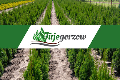 Tuje Gorzów