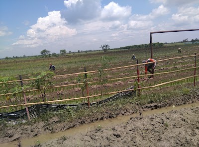 Photos of Kebun Tin Demak