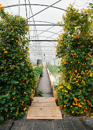 Photo n°2 de Les Nouvelles Fermes - Bordeaux Lormont à Lormont (Entrepreneur)