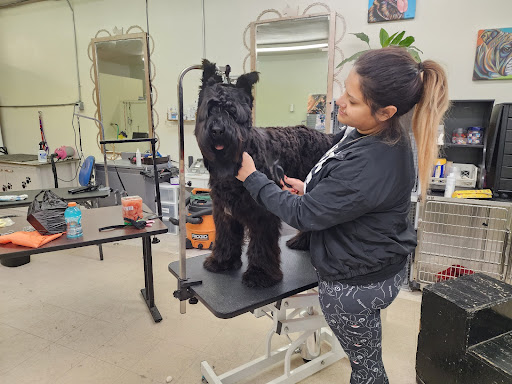 Gina's Clean & Cozy Petcare - Thumbnail