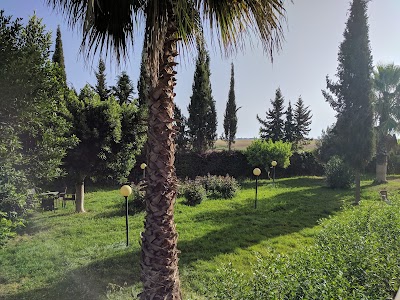 Photos of The rest of Africa Station