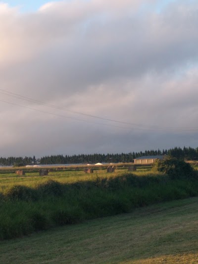 Photos of Tolga Caravan Park