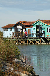 Photo n°65 de Le Relais des Salines à Le Grand-Village-Plage (Restaurant de poisson)